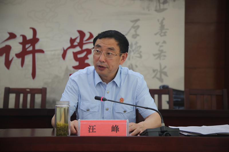 英山县人民法院党组书记、院长汪峰作报告_副本.jpg