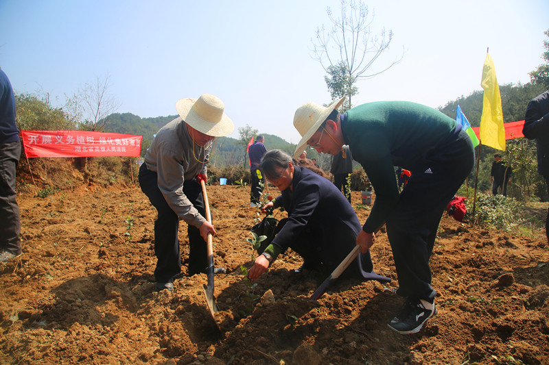 图为英山法院院长汪峰（右）方家咀乡党委书记段水平（中）在植树。_副本.jpg