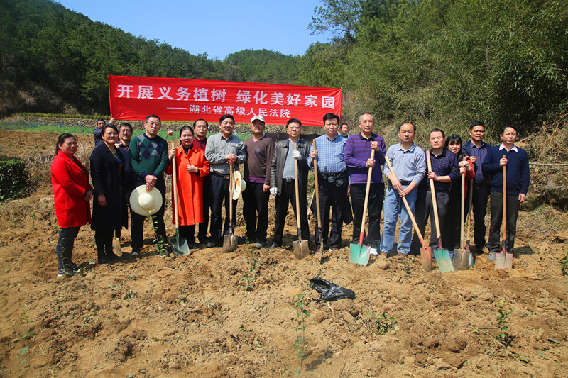 图为高院干部在植树现场合影。_副本.jpg